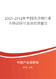 2025-2031年中國洗滌槽行業(yè)市場調(diào)研與發(fā)展前景報告