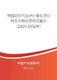中國可控氣氛爐行業現狀分析及市場前景研究報告（2025-2031年）