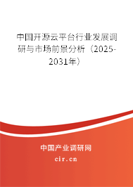 中國開源云平臺行業(yè)發(fā)展調(diào)研與市場前景分析（2025-2031年）