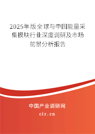 2024年版全球與中國能量采集模塊行業深度調研及市場前景分析報告