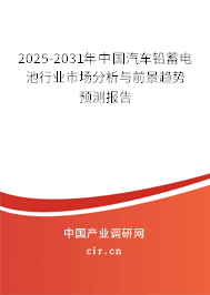 2025-2031年中國汽車鉛蓄電池行業市場分析與前景趨勢預測報告