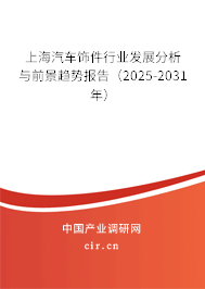 上海汽車飾件行業發展分析與前景趨勢報告（2025-2031年）