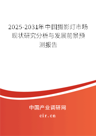 2025-2031年中國攝影燈市場現狀研究分析與發展前景預測報告