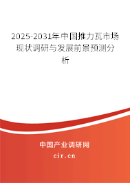 2024-2030年中國推力瓦市場現狀調研與發展前景預測分析