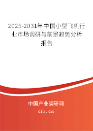 2025-2031年中國小型飛機行業市場調研與前景趨勢分析報告