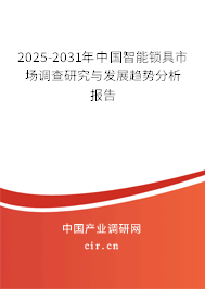 2025-2031年中國智能鎖具市場調查研究與發展趨勢分析報告