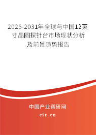 2024-2030年全球與中國12英寸晶圓探針臺市場現狀分析及前景趨勢報告