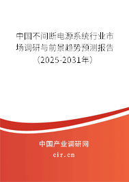 中國不間斷電源系統行業市場調研與前景趨勢預測報告(2025-2031年) 中國不間斷電源系統行業市場調研與前景趨勢預測報告(2025-2031年)