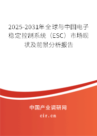 2025-2031年全球與中國(guó)電子穩(wěn)定控制系統(tǒng)（ESC）市場(chǎng)現(xiàn)狀及前景分析報(bào)告