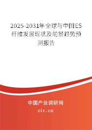 2025-2031年全球與中國ES纖維發(fā)展現(xiàn)狀及前景趨勢預測報告