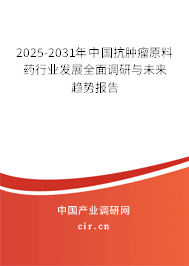 2025-2031年中國抗腫瘤原料藥行業發展全面調研與未來趨勢報告 2025-2031年中國抗腫瘤原料藥行業發展全面調研與未來趨勢報告