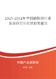 2024-2030年中國偏振鏡行業發展研究與前景趨勢報告