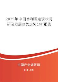 2025年中國水利發電現狀調研及發展趨勢走勢分析報告