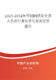 2025-2031年中國網絡安全準入系統行業現狀與發展前景報告