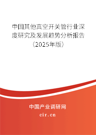 中國其他真空開關管行業深度研究及發展趨勢分析報告（2025年版）