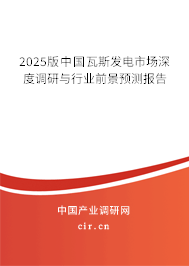 2025版中國瓦斯發電市場深度調研與行業前景預測報告