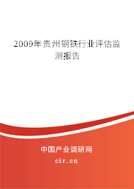 2009年貴州鋼鐵行業(yè)評估監(jiān)測報告
