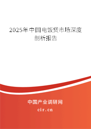 2024年中國電飯煲市場深度剖析報告