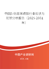 中國3-硝基苯磺酸行業現狀與前景分析報告（2025-2031年）