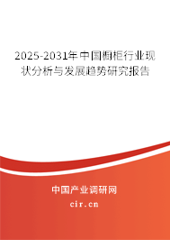 2025-2031年中國櫥柜行業(yè)現(xiàn)狀分析與發(fā)展趨勢研究報(bào)告