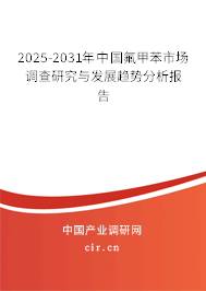 2025-2031年中國氟甲苯市場調查研究與發展趨勢分析報告