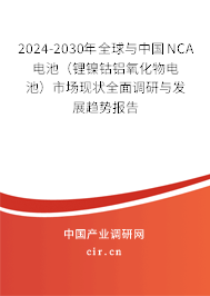 2024-2030年全球與中國NCA電池（鋰鎳鈷鋁氧化物電池）市場現狀全面調研與發展趨勢報告