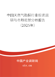 中國天然氣勘探行業現狀調研與市場前景分析報告（2025年）