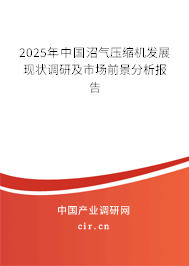 2024年中國沼氣壓縮機發(fā)展現(xiàn)狀調(diào)研及市場前景分析報告