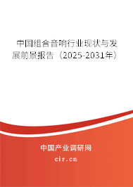 中國組合音響行業現狀與發展前景報告（2025-2031年）