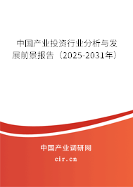 中國產業投資行業分析與發展前景報告（2025-2031年）