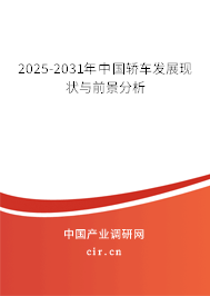 2025-2031年中國轎車發展現狀與前景分析