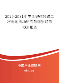 2025-2031年中國鋰磷酸鐵二次電池市場研究與前景趨勢預測報告