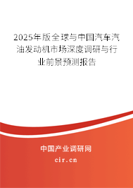 2025年版全球與中國汽車汽油發動機市場深度調研與行業前景預測報告