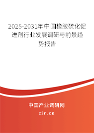 2025-2031年中國橡膠硫化促進劑行業發展調研與前景趨勢報告