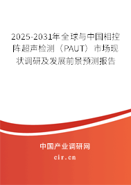 2025-2031年全球與中國相控陣超聲檢測（PAUT）市場現狀調研及發展前景預測報告