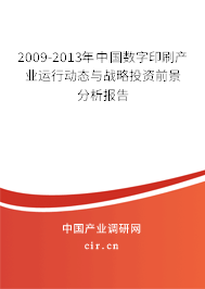 2009-2013年中國數(shù)字印刷產(chǎn)業(yè)運(yùn)行動(dòng)態(tài)與戰(zhàn)略投資前景分析報(bào)告