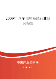 2009年汽車電噴系統行業研究報告