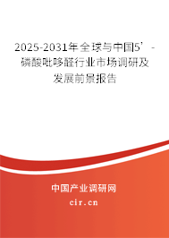 2025-2031年全球與中國5’-磷酸吡哆醛行業市場調研及發展前景報告