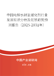 中國電解水制氫催化劑行業(yè)發(fā)展現(xiàn)狀分析及前景趨勢預(yù)測報(bào)告（2025-2031年）