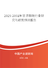 2025-2031年甘肅鞋靴行業研究與趨勢預測報告 2025-2031年甘肅鞋靴行業研究與趨勢預測報告