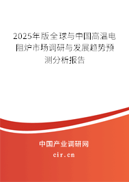 2025年版全球與中國高溫電阻爐市場調研與發展趨勢預測分析報告