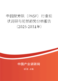 中國聚芳砜（PASF）行業(yè)現(xiàn)狀調(diào)研與前景趨勢分析報(bào)告（2025-2031年）