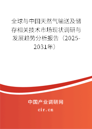 全球與中國天然氣輸送及儲存相關技術市場現狀調研與發展趨勢分析報告（2024-2030年）
