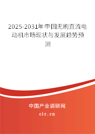 2025-2031年中國無刷直流電動機市場現(xiàn)狀與發(fā)展趨勢預測