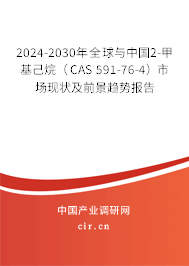 2024-2030年全球與中國2-甲基己烷（CAS 591-76-4）市場現狀及前景趨勢報告