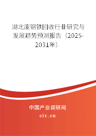湖北廢鋼鐵回收行業研究與發展趨勢預測報告（2025-2031年）