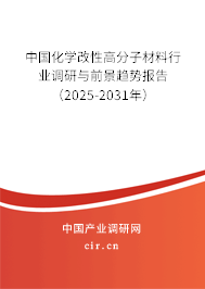 中國化學(xué)改性高分子材料行業(yè)調(diào)研與前景趨勢報告（2025-2031年）