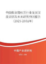 中國集裝箱租賃行業(yè)發(fā)展深度調(diào)研及未來趨勢預(yù)測報告（2025-2031年）