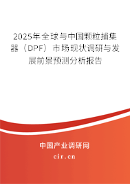 2025年全球與中國顆粒捕集器（DPF）市場現狀調研與發展前景預測分析報告