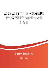 2025-2031年中國水果布朗尼行業(yè)發(fā)展研究與前景趨勢分析報告